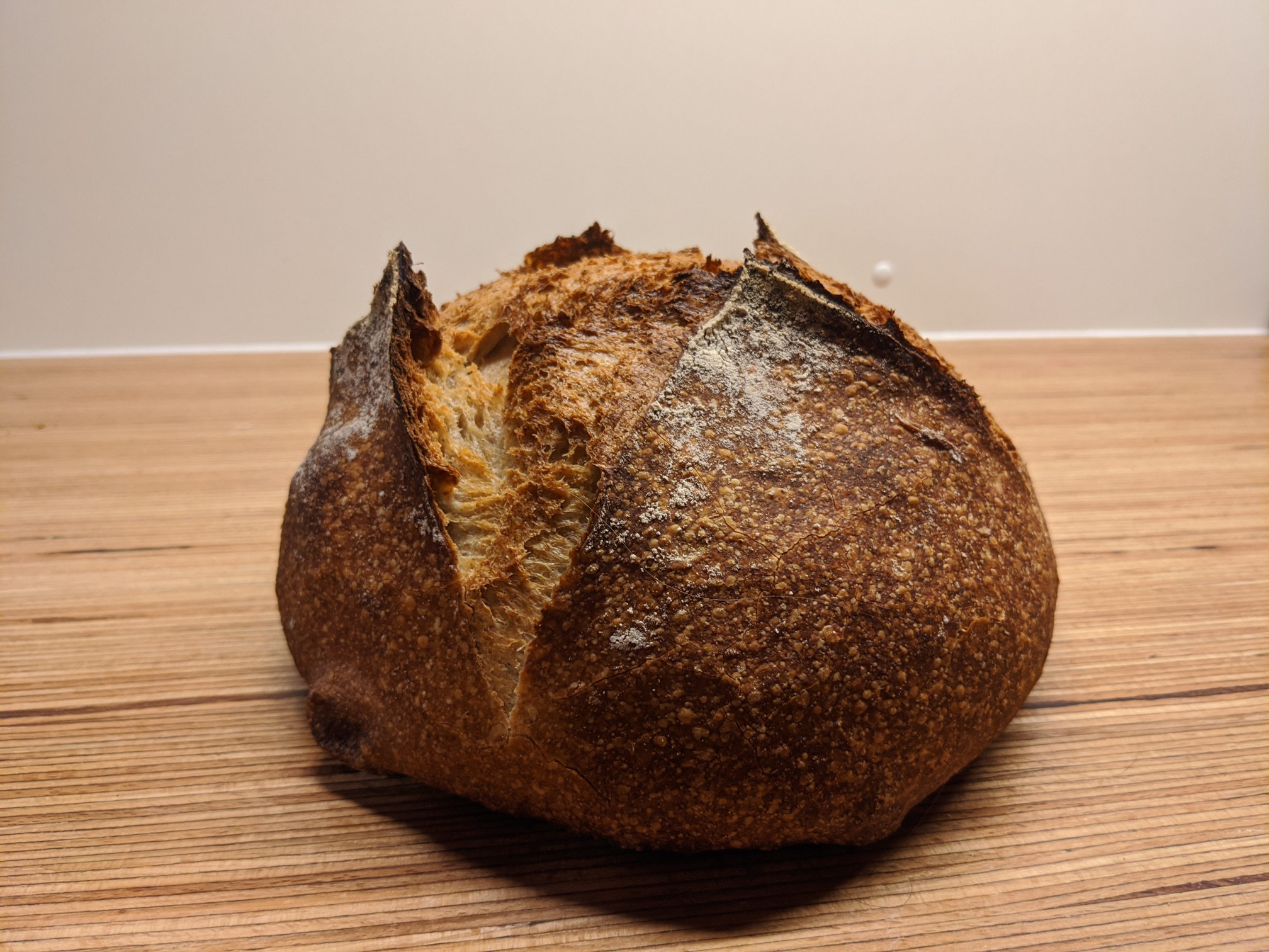 bread picture 5
